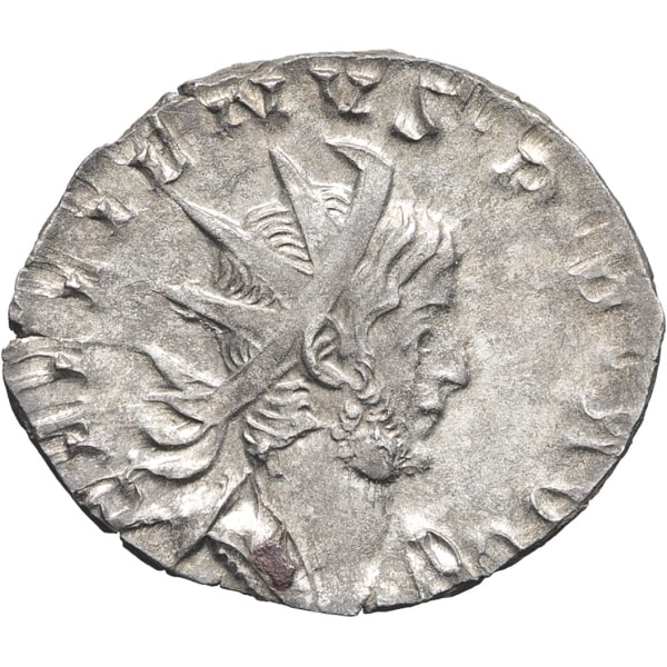 lot 246