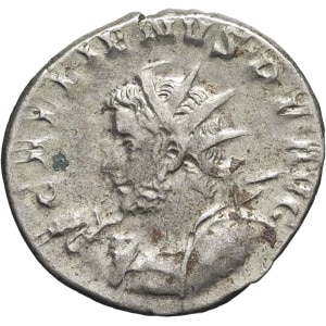 lot 247