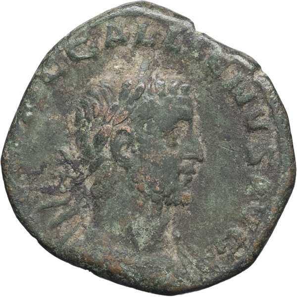 lot 250