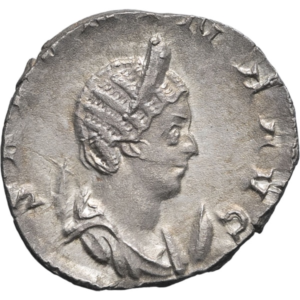 lot 252