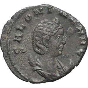 lot 254