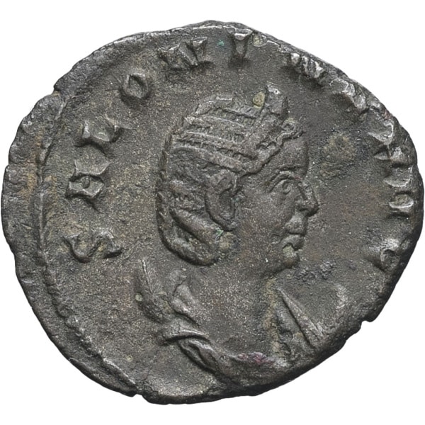 lot 254