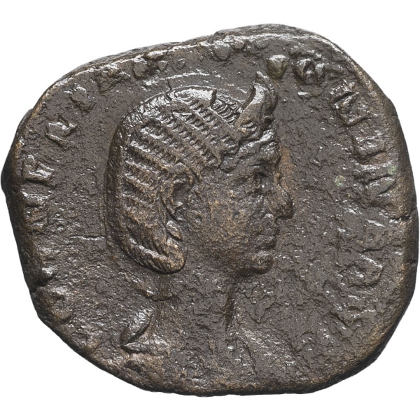 lot 255