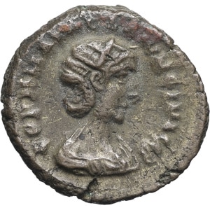 lot 256