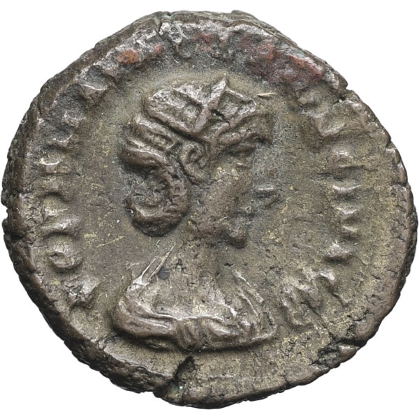 lot 256