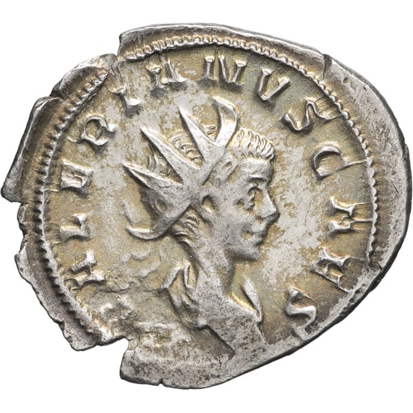 lot 257