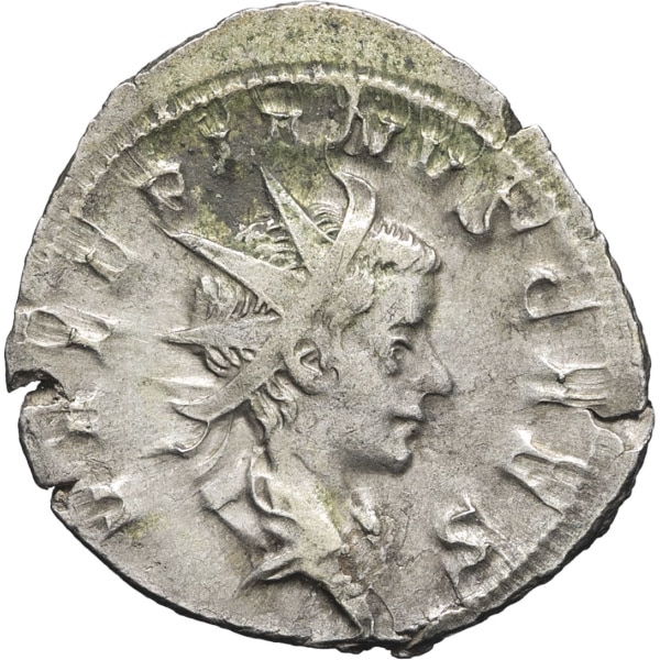 lot 258