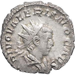 lot 259