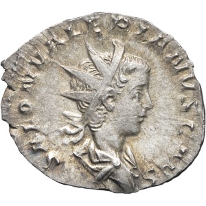 lot 260