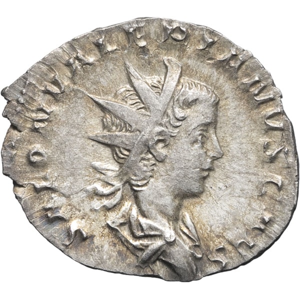 lot 260