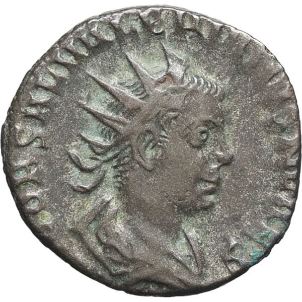lot 261
