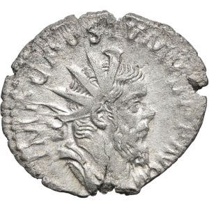 lot 262