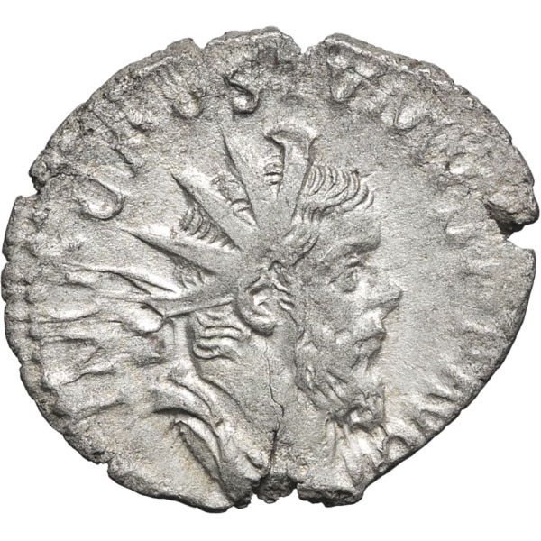 lot 262