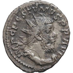 lot 263