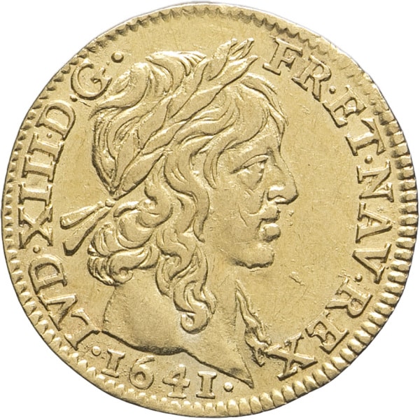 lot 513