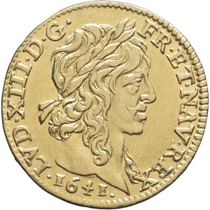 lot 515