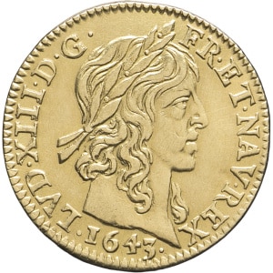 lot 517