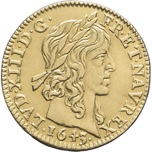 lot 517