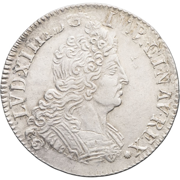 lot 555