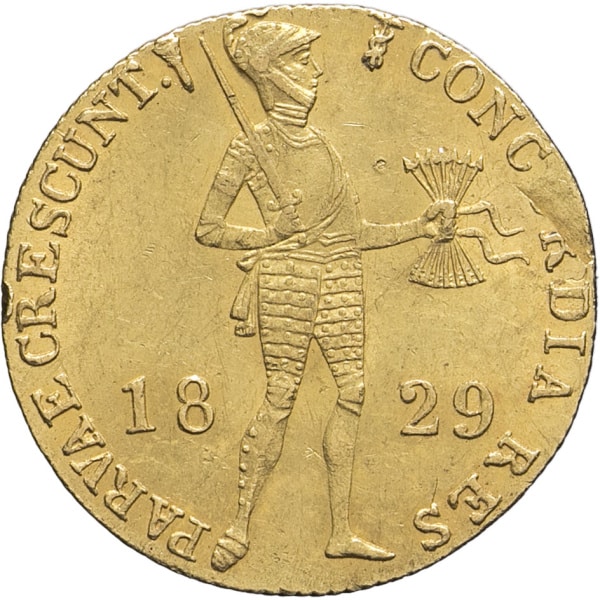 lot 1263
