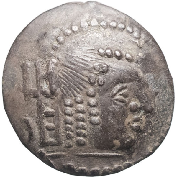 lot 1446