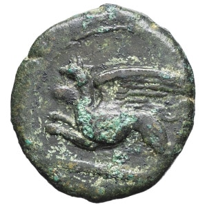lot 6