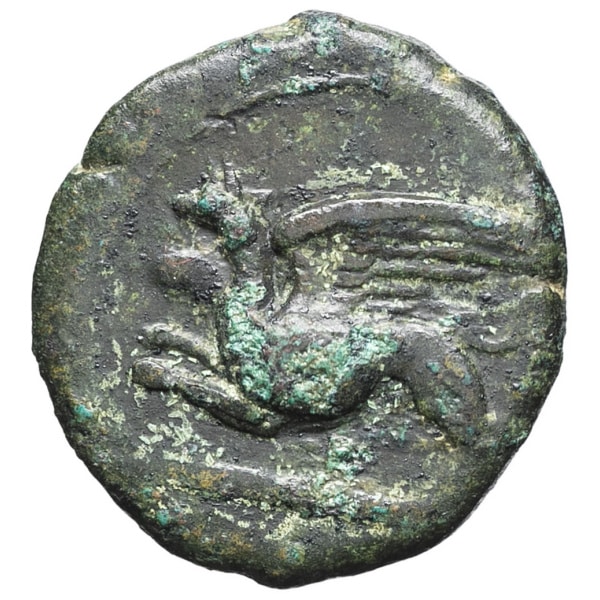 lot 6