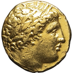 lot 8