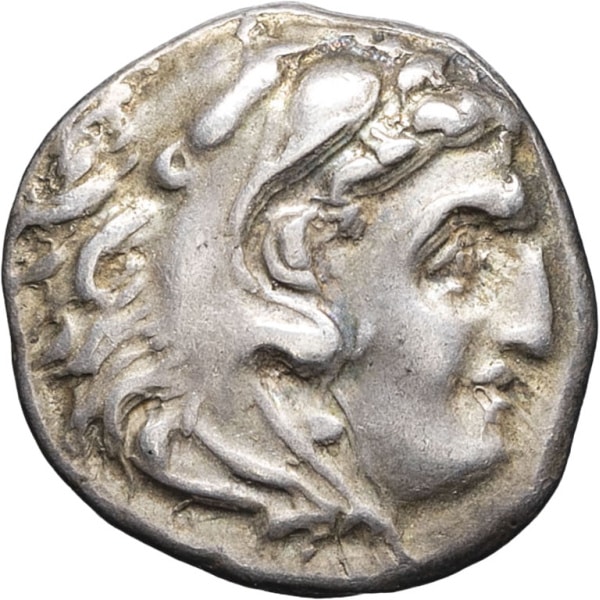 lot 9