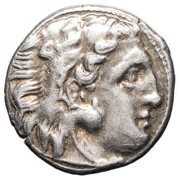 lot 10