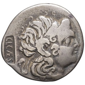 lot 15