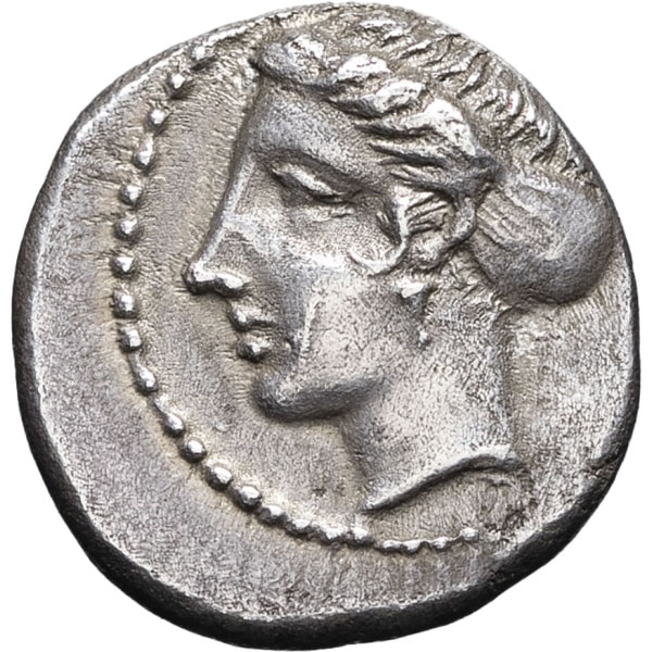 lot 16