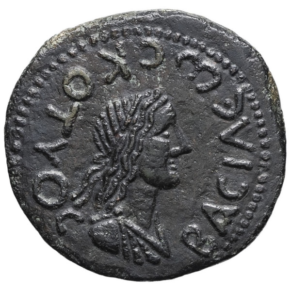 lot 24