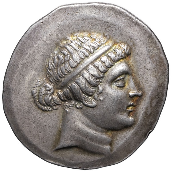 lot 26
