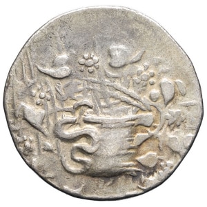 lot 29