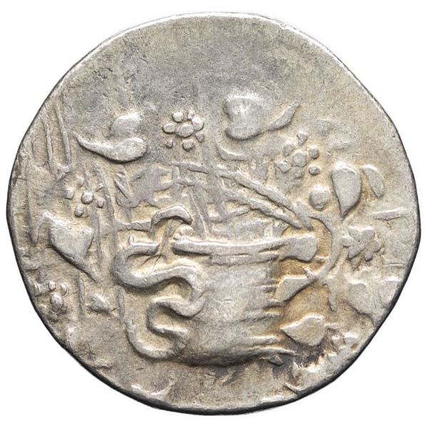 lot 29