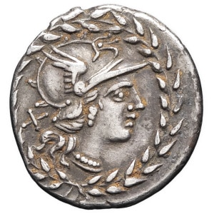 lot 101