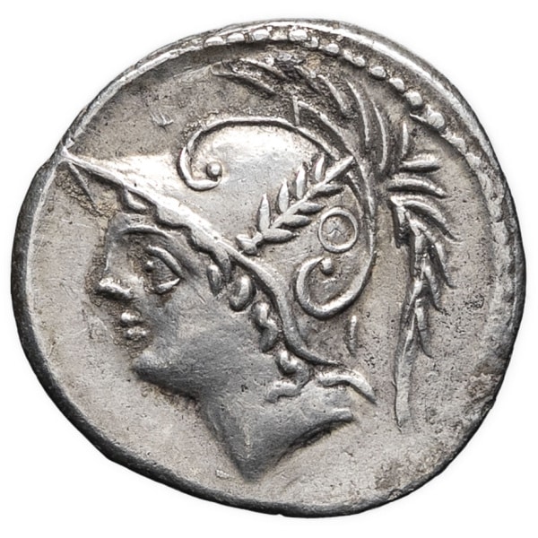 lot 115