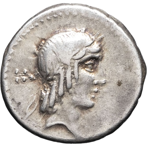lot 119