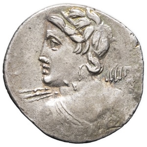 lot 121