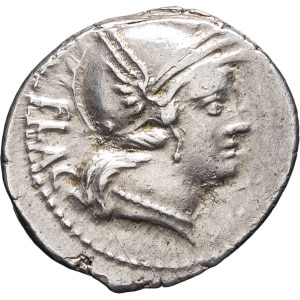lot 128