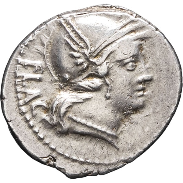 lot 128