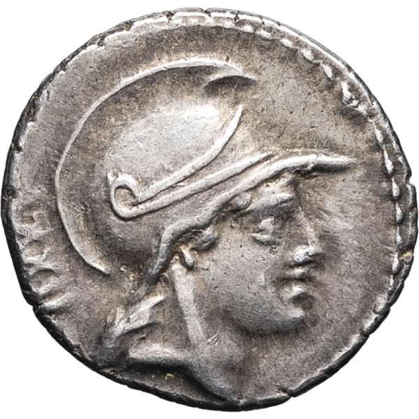 lot 129