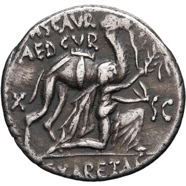 lot 135