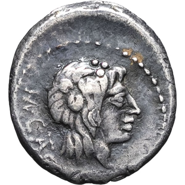 lot 142