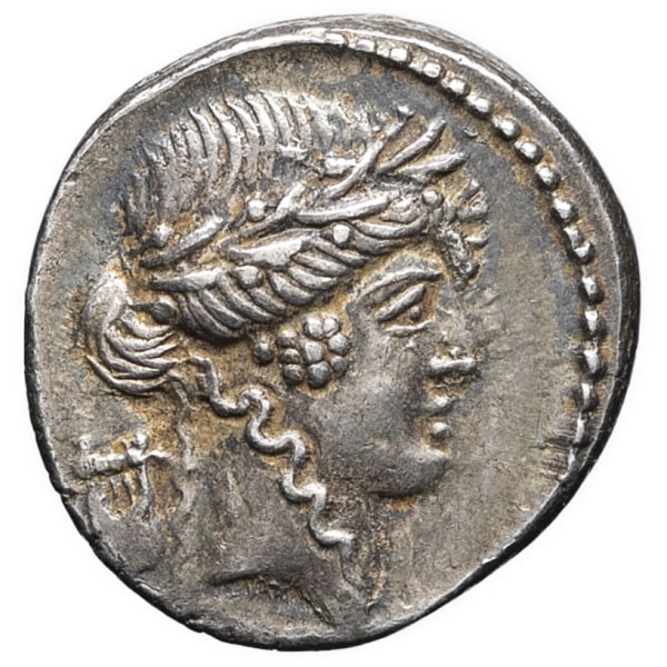 lot 145