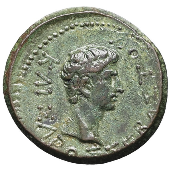 lot 155
