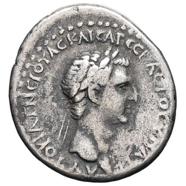 lot 190