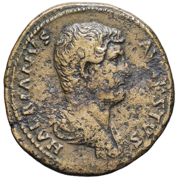 lot 195