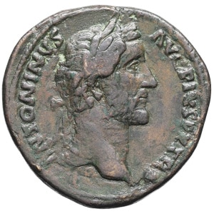 lot 202